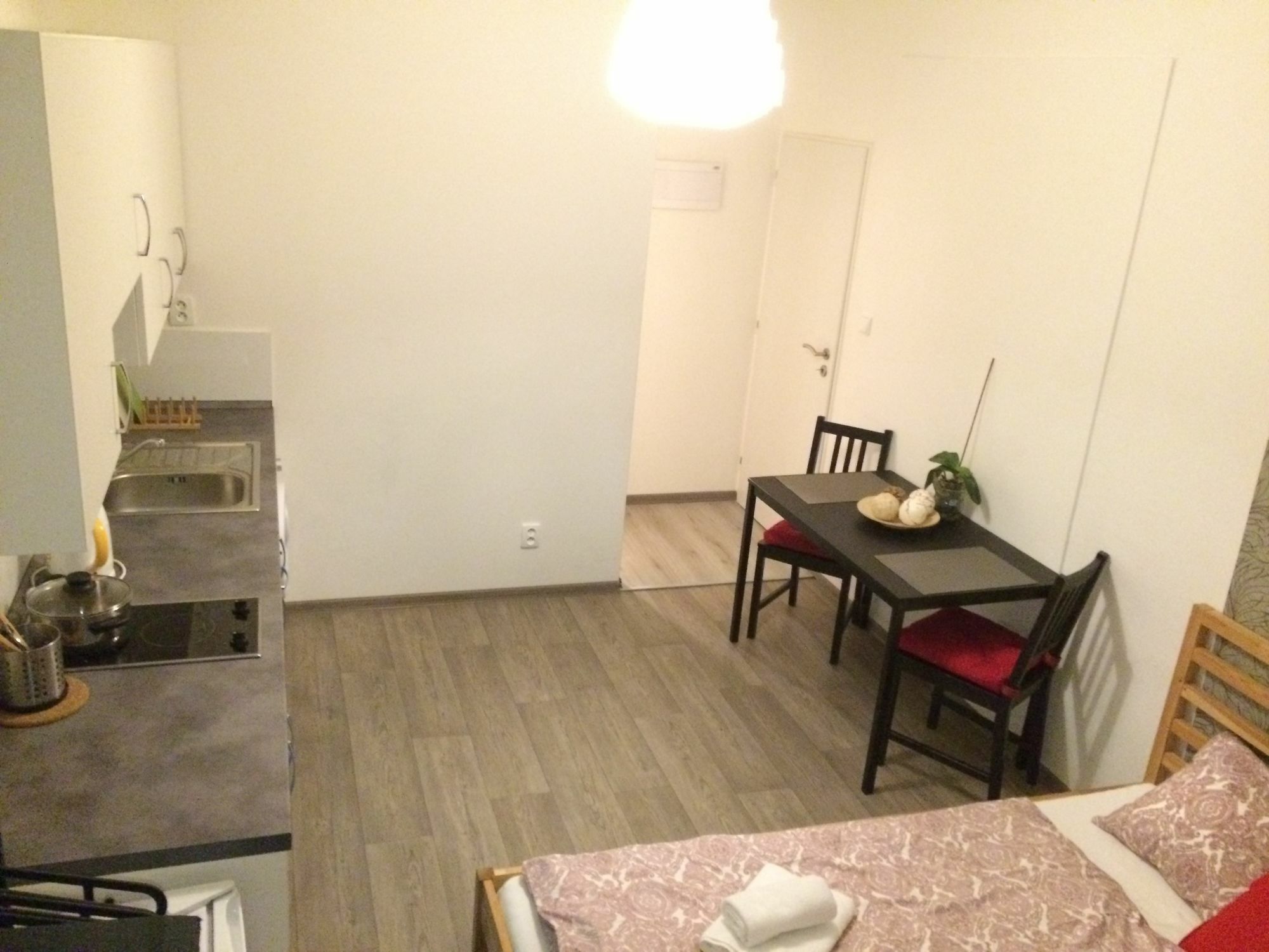 Apartment Nejedleho Prag